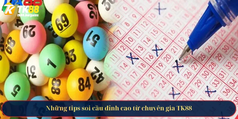 Bạch Thủ Lô Là Gì - Giải Mã Chiến Thuật Tất Tay Của Cao Thủ 4 Những tips soi cầu đỉnh cao từ chuyên gia TK88
