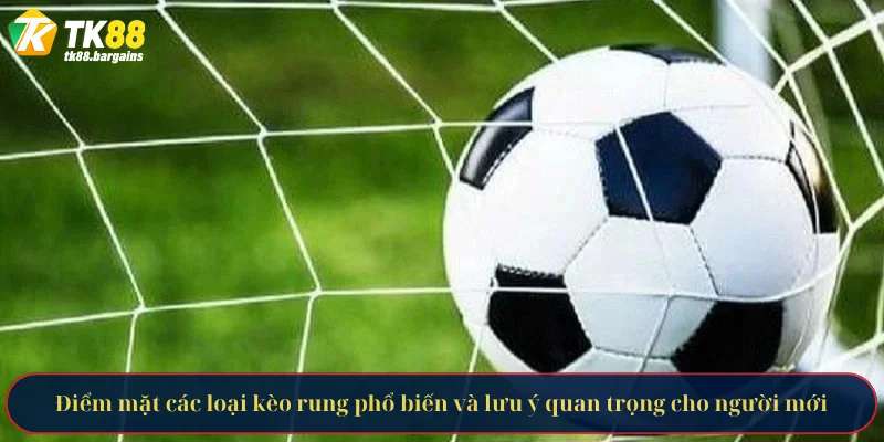 Điểm mặt các loại kèo rung phổ biến và lưu ý quan trọng cho người mới